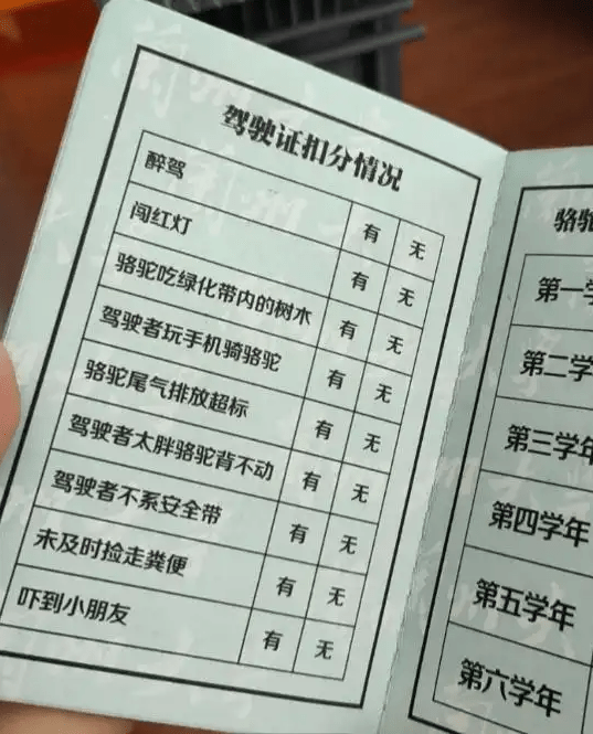 蘭州大學的駱駝駕駛證。極目新聞 蘭州大學的駱駝駕駛證。極目新聞