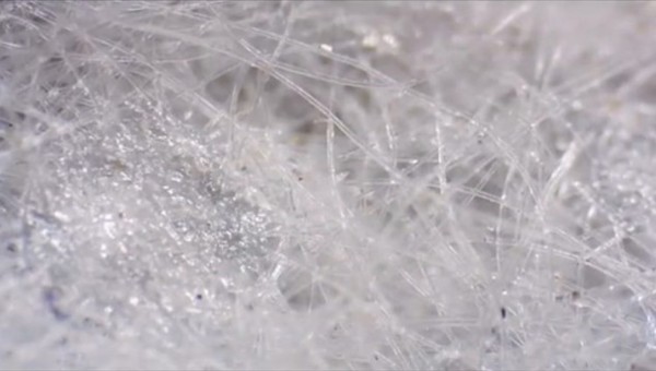 未經使用的口罩纖維十分乾淨。網圖