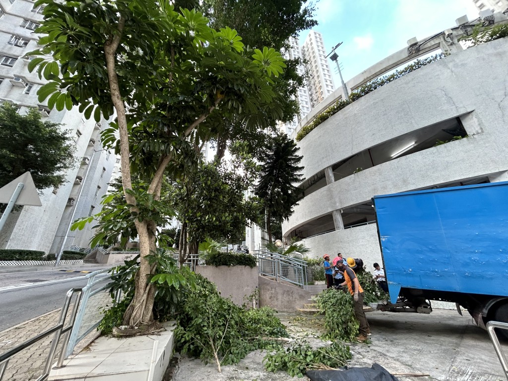 當時有工人在翠竹花園4座對開停車場鋸樹。曾志恒攝 當時有工人在翠竹花園4座對開停車場鋸樹。曾志恒攝