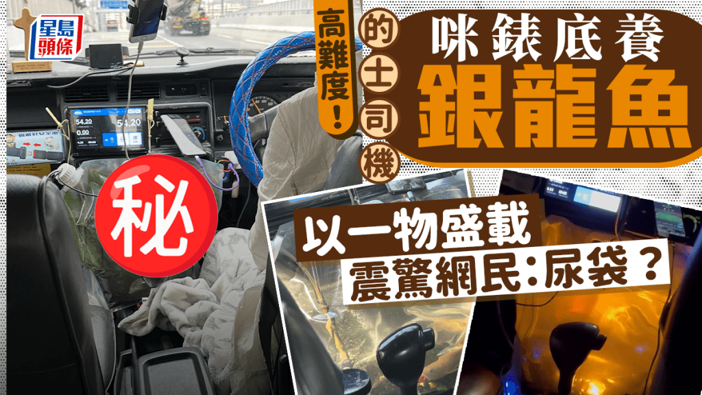 高難度！的士司機咪錶底養銀龍魚 以一物盛載震驚網民：尿袋？