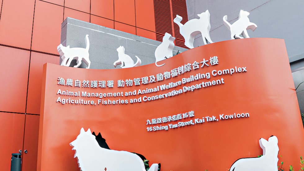 申訴專員公署批打擊虐待動物不力 漁護署：將研究修例加重罰則