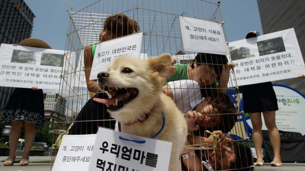 南韩国会朝、野党派都同意推动立法禁吃够肉。网上图片