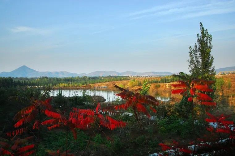 万紫千红生态养生旅游度假区（Trip.com图片）