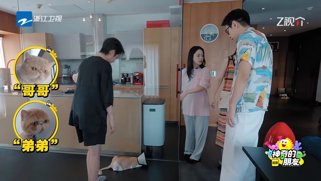 阿嬌寵物有很多空間走動。 阿嬌寵物有很多空間走動。