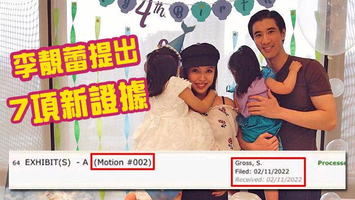 李靚蕾上周五提出7項新證據。