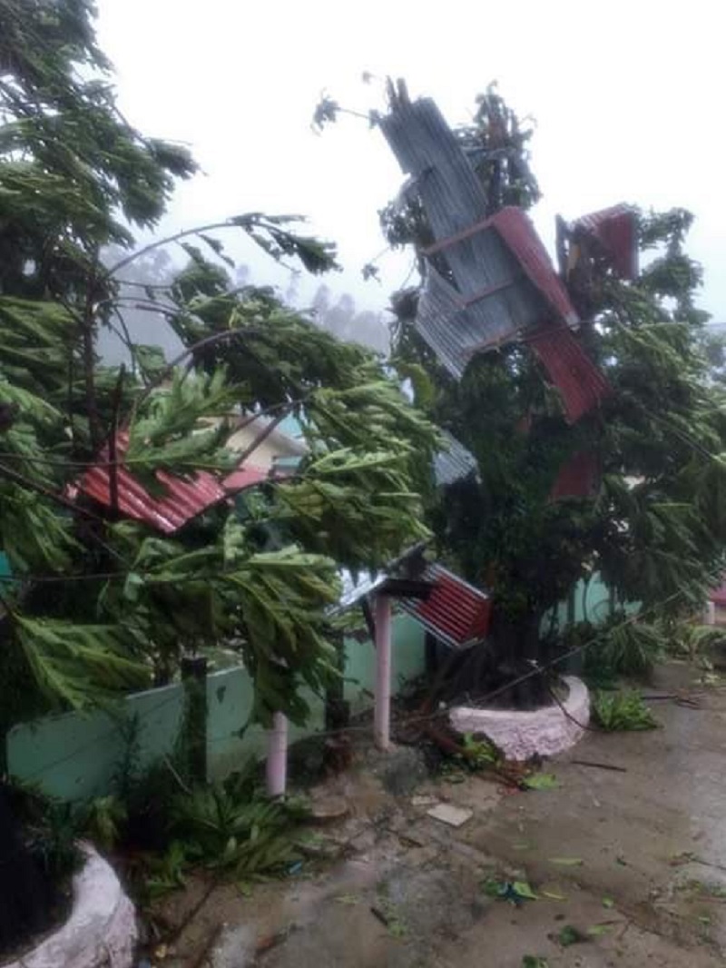 網上圖片