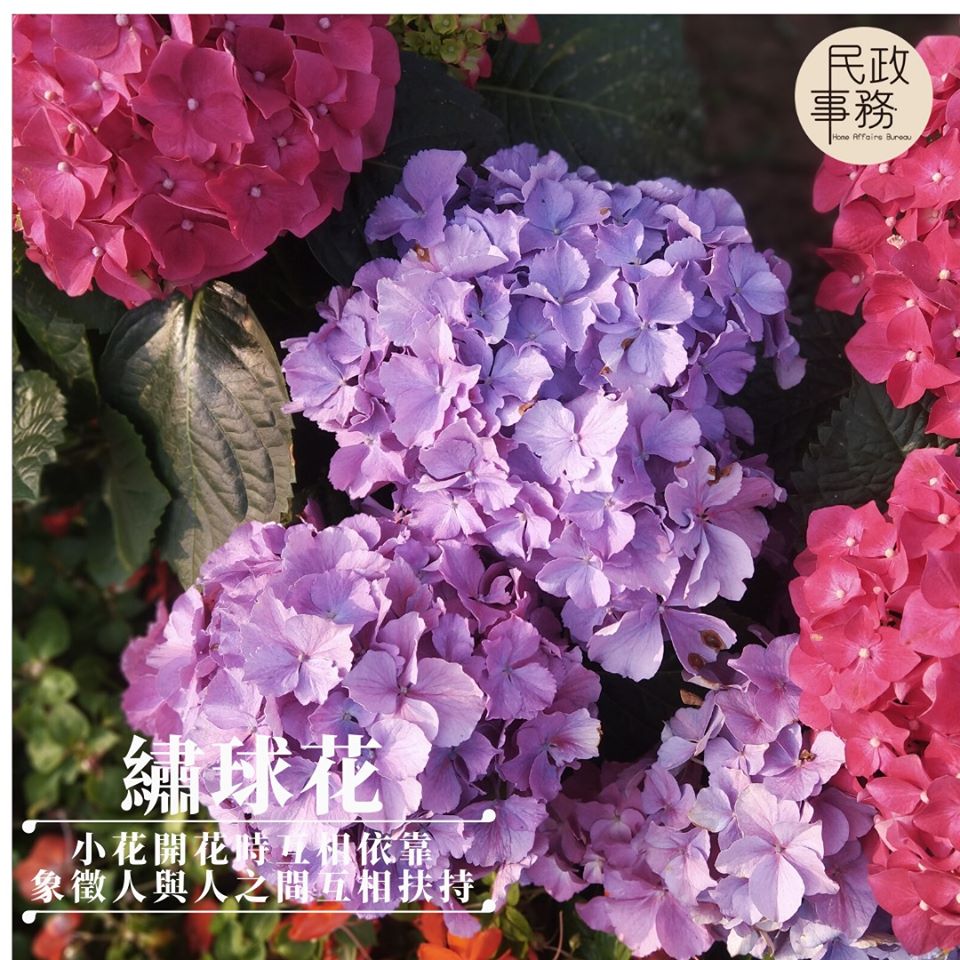 民政事務局FB