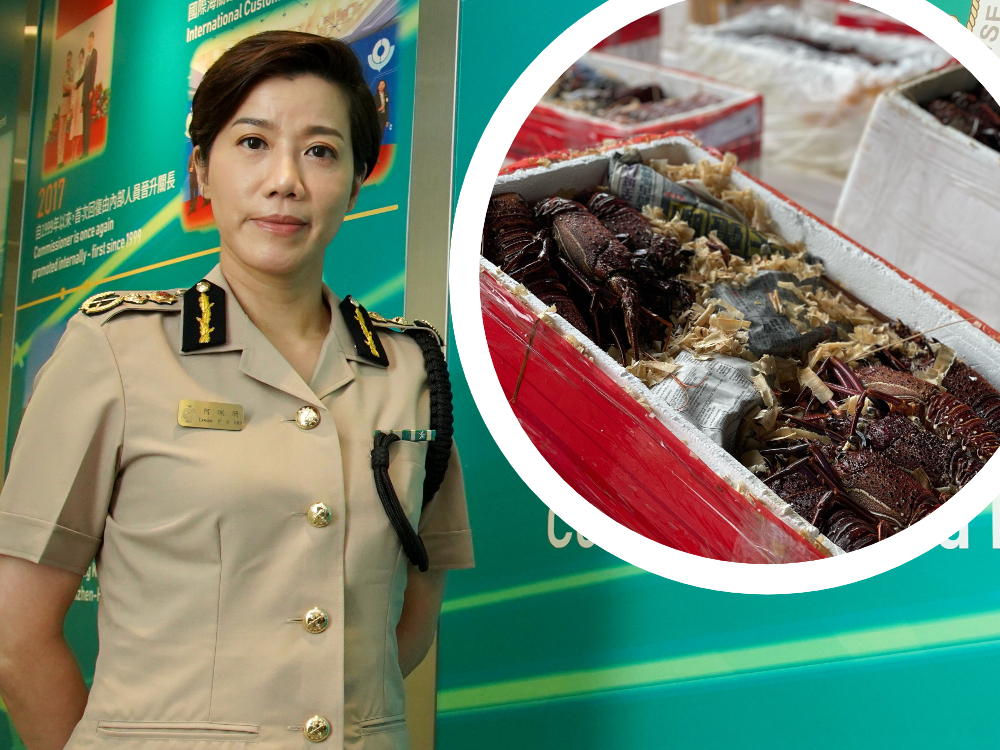 海关关长何珮珊早前曾指，打击走私澳洲龙虾是维护国家安全的重要工作。资料图片