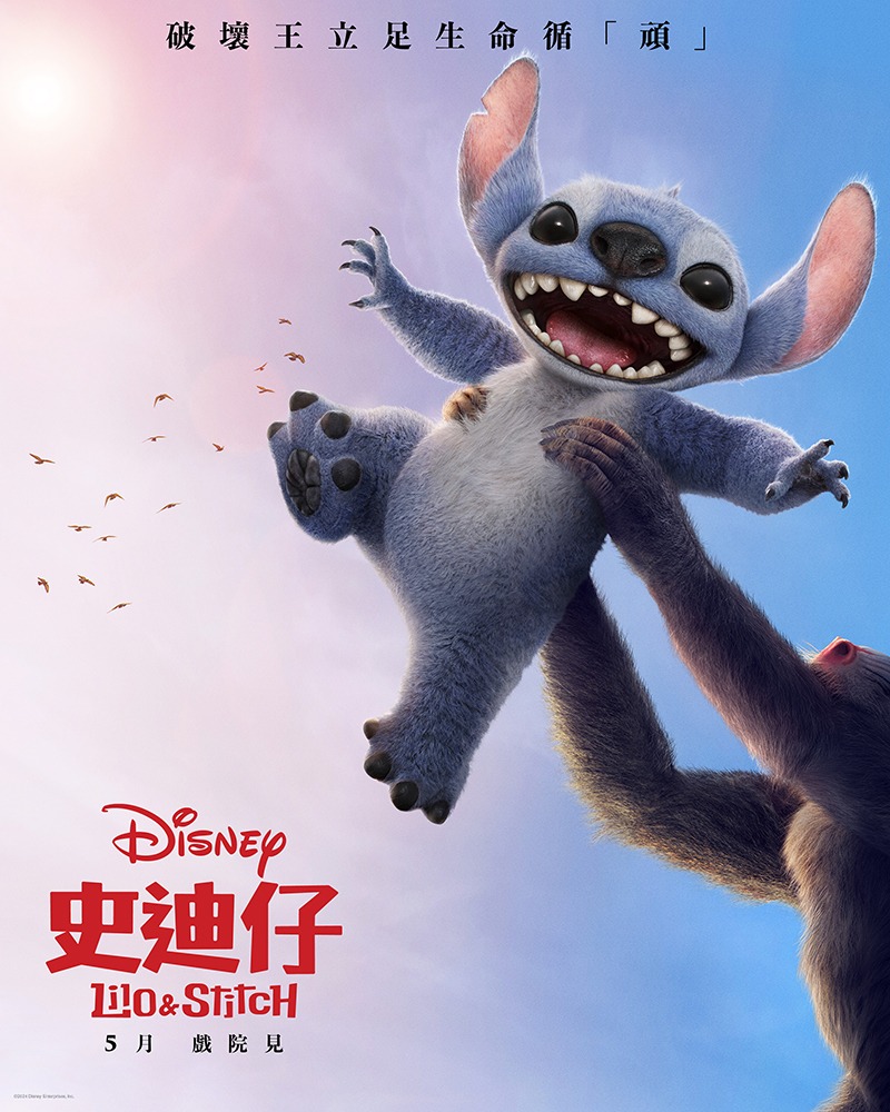 適逢迪士尼《獅子王︰木法沙》公映，史迪仔湊熱鬧，還原《獅子王》經典一幕。