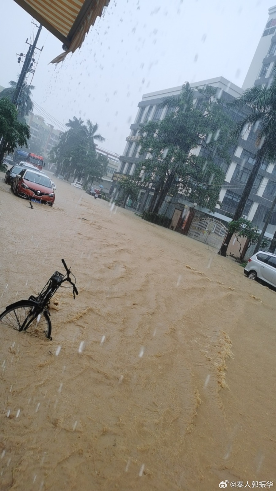 中山紅色暴雨，三鄉鎮變「水城威尼斯」，大量車輛被淹。