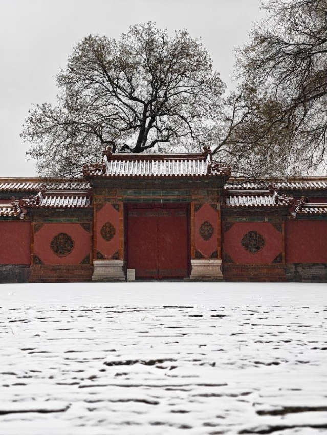 北京下雪。 微博@愛吃西瓜的彭彭 北京下雪。 微博@愛吃西瓜的彭彭