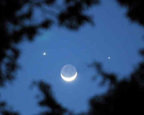 「雙星伴月」的少見的天文現象。網圖