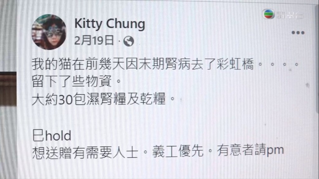 一名女子自称猫义工以假帐户在网上呃物资。(电视截图)