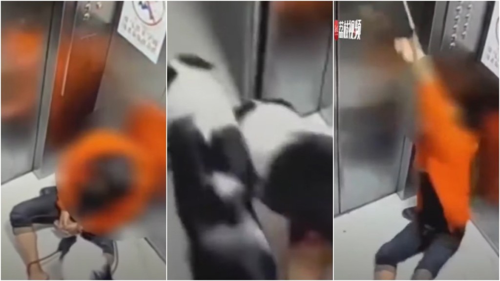 江蘇男酒後遛狗搭𨋢睡著釀意外，一狗慘遭勒斃。 網片截圖