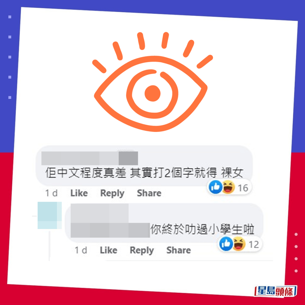 网民：佢中文程度真差，其实打2个字就得——「祼女」。fb「全港违例抄牌提示区」截图
