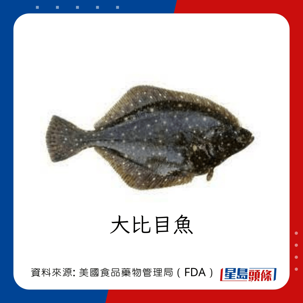 鱼类水银｜水银含量中等的鱼类：大比目鱼