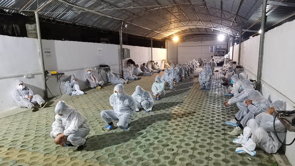 執法人員在今次的行動逮捕81人。互聯網圖片
