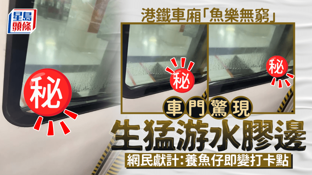 港鐵車廂「魚樂無窮」 車門驚現生猛游水膠邊 網民獻計：養魚仔即變打卡點｜Juicy叮