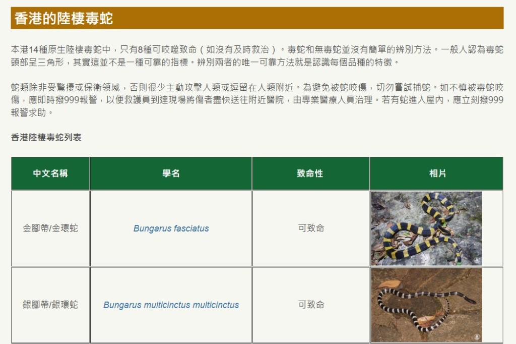 香港的陸棲毒蛇(1)。漁護署網頁截圖 香港的陸棲毒蛇(1)。漁護署網頁截圖