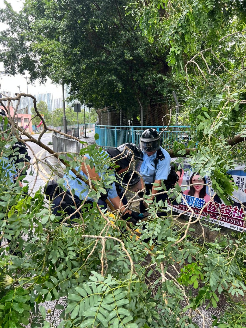 警员协助清理塌树。读者提供