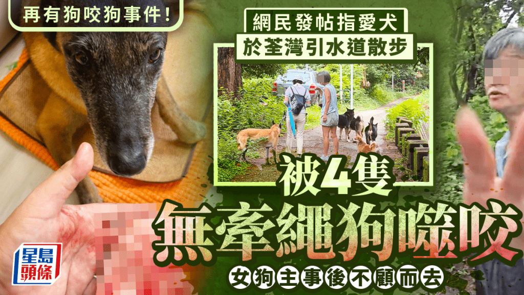 荃灣狗咬狗｜網民發帖指愛犬引水道散步 遇女子帶4狗無牽繩噬咬 事後不顧而去
