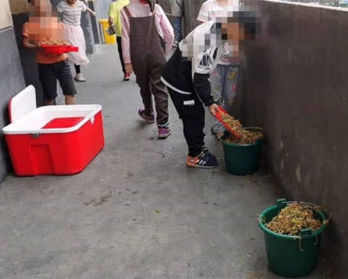 學生因味道差,將學校提供的營養餐倒掉在垃圾桶。網圖