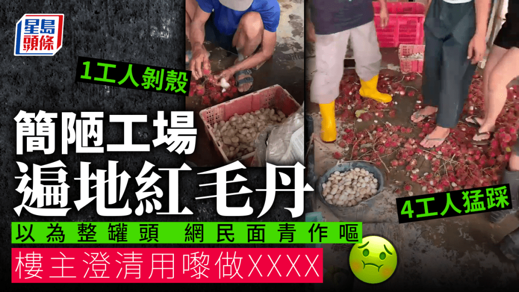 工場遍地紅毛丹踩完即剝殼 嚇壞網民以為整罐頭 實情係......