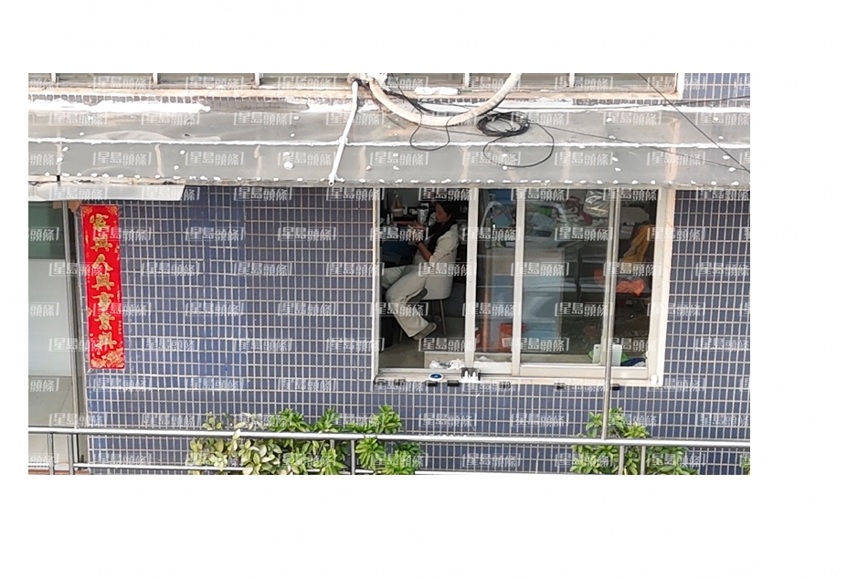 早前YouTuber“导游哥哥”亲睹王青霞在佛山的生活近况。  