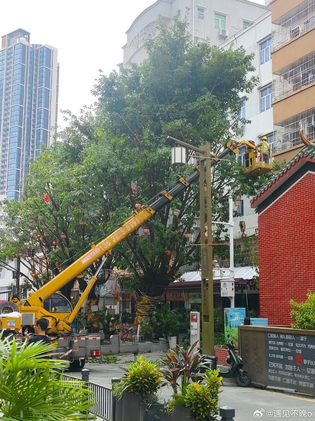 广东各地做足防风措施，应对台风桦加沙。微博