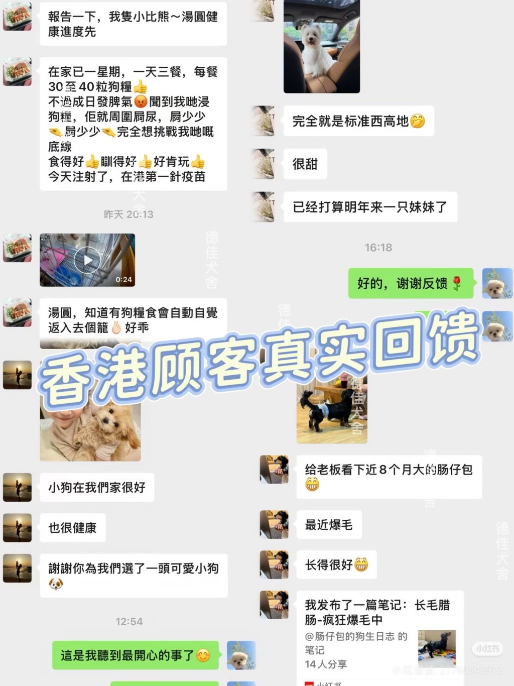 有賣家為吸引港人購買狗隻,發布「香港顧客的真實回饋」。 有賣家為吸引港人購買狗隻,發布「香港顧客的真實回饋」。