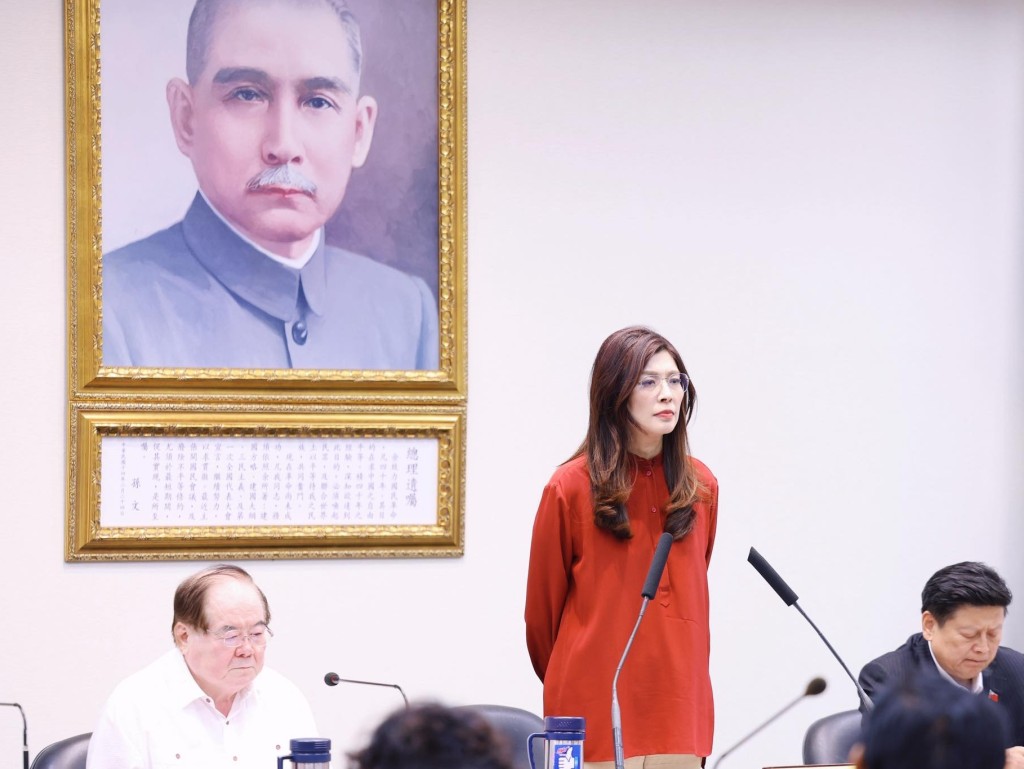 鄭麗文說兩岸和平不僅對區域穩定至關重要，也符合國際社會的核心利益。 鄭麗文FB