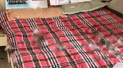 李先生家中仍有血跡。極目新聞