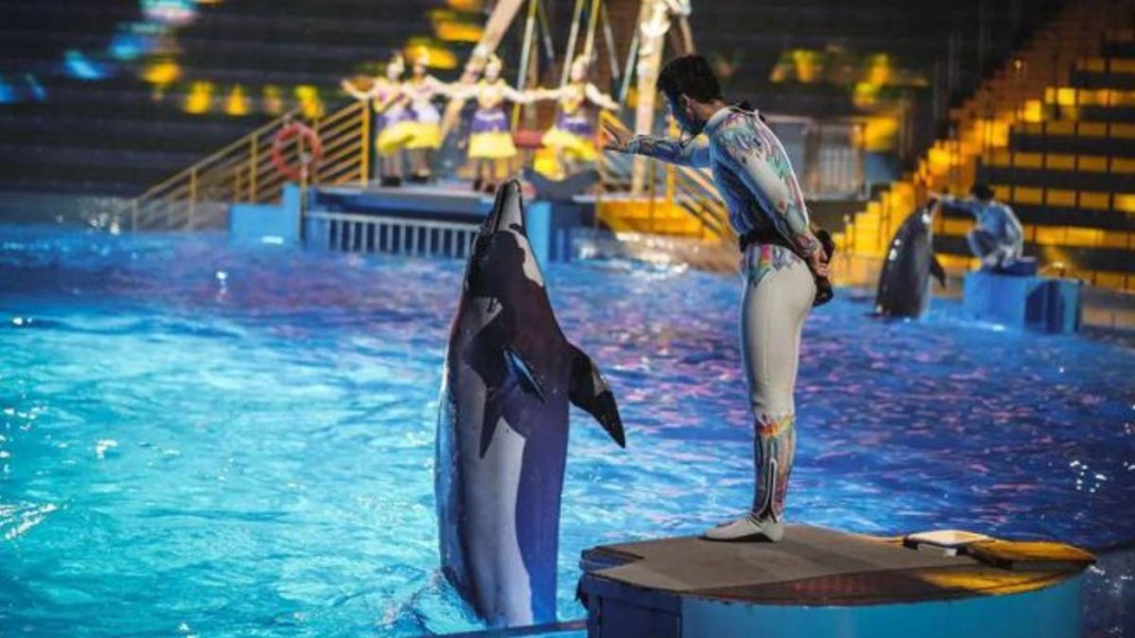 河南鄭州有海洋公園以月薪3萬請「首席摸魚官」,引起網上關注。瀟湘晨報 河南鄭州有海洋公園以月薪3萬請「首席摸魚官」,引起網上關注。瀟湘晨報