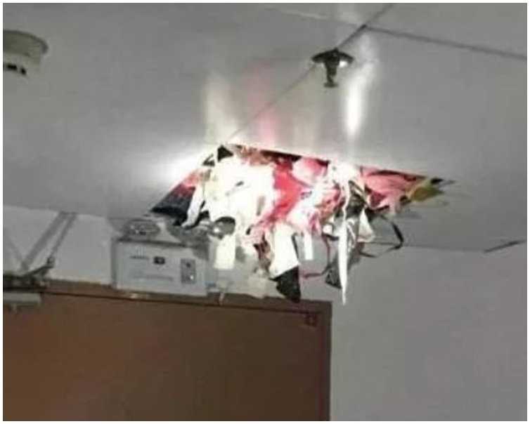 内衣藏在天花上。网图