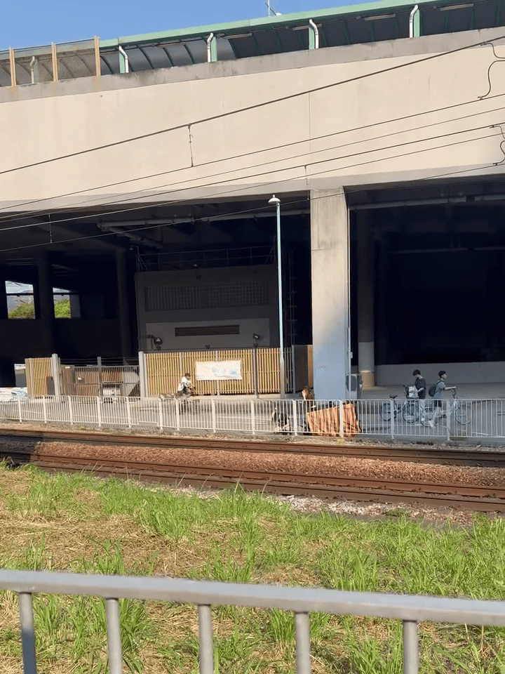 現場為屯門兆康站對出單車徑。FB:Alex Kwok@香港交通及突發事故報料區 現場為屯門兆康站對出單車徑。FB:Alex Kwok@香港交通及突發事故報料區