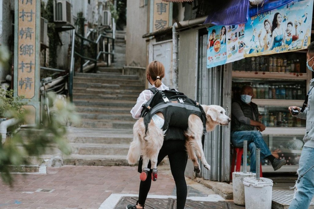 李旻芳曾每日孭住行動不便的狗狗散步，是人美心善的最佳代表。