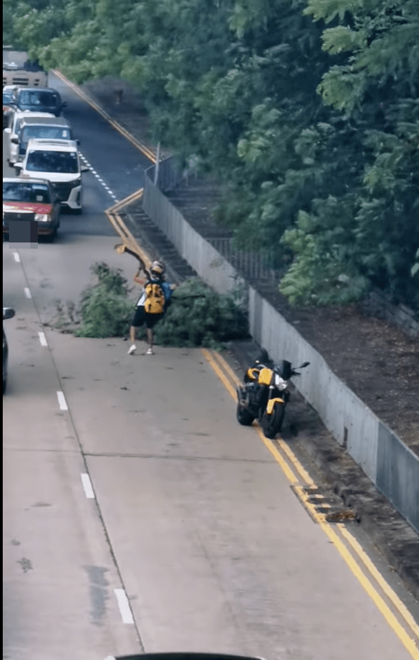 一名电单车手早上发现有大型树枝塌下并阻塞行车线，随即下车独自移开树枝。「马路的事 (即时交通资讯台)」影片截图