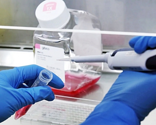 澳洲醫學團隊表示，新研究將有助疫苗研發及治療方式。 