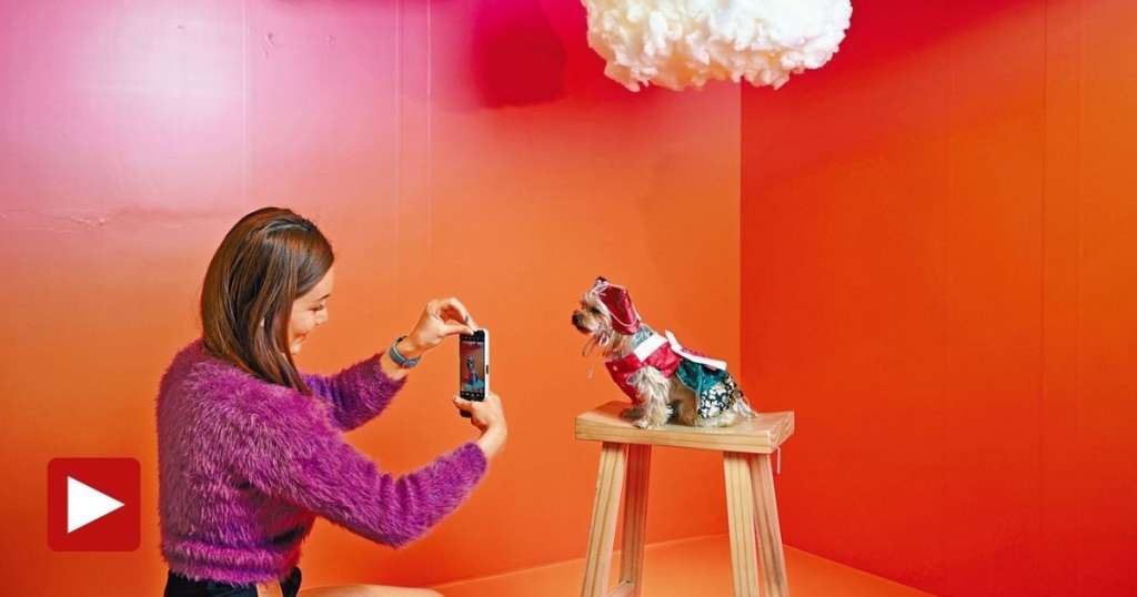 這個「白日夢Touch The Sky」是場內最受歡迎場景之一。