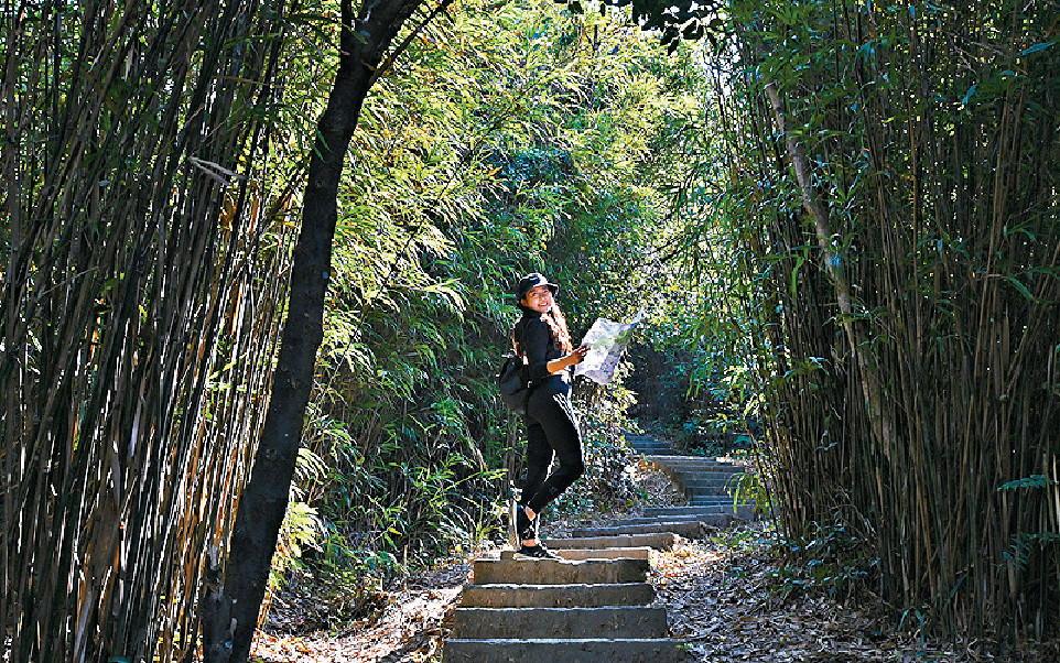 ■於林蔭大道中暢遊，是不錯的冬日節目。