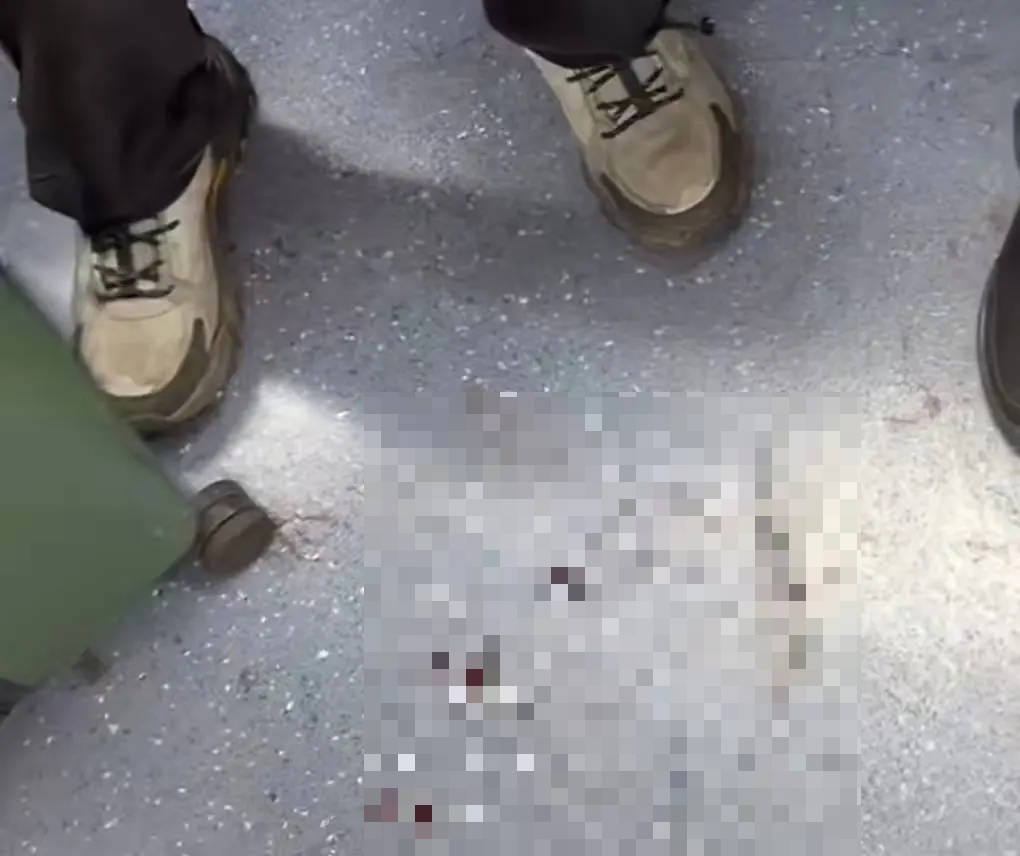 行李箱底部，有血渍渗出来。