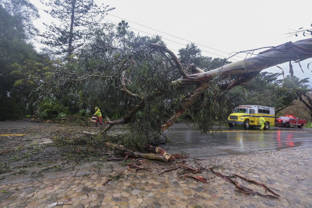 消防隊員在加州蒙特西托清除了一棵倒下的樹。AP
