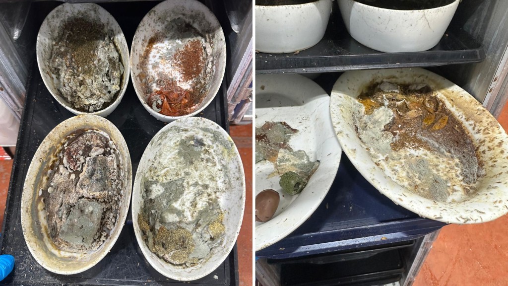 員工揭餐具長滿黴菌，還有疑似蛆蟲和蒼蠅的東西。洛杉磯工會UNITE HERE Local 11
