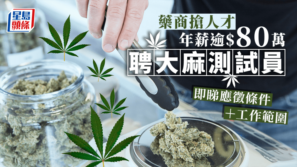 德國藥商招聘「大麻測試員」。unsplash圖