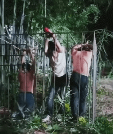 唐某豐憶述當日不時在園區被毆。央視截圖 唐某豐憶述當日不時在園區被毆。央視截圖