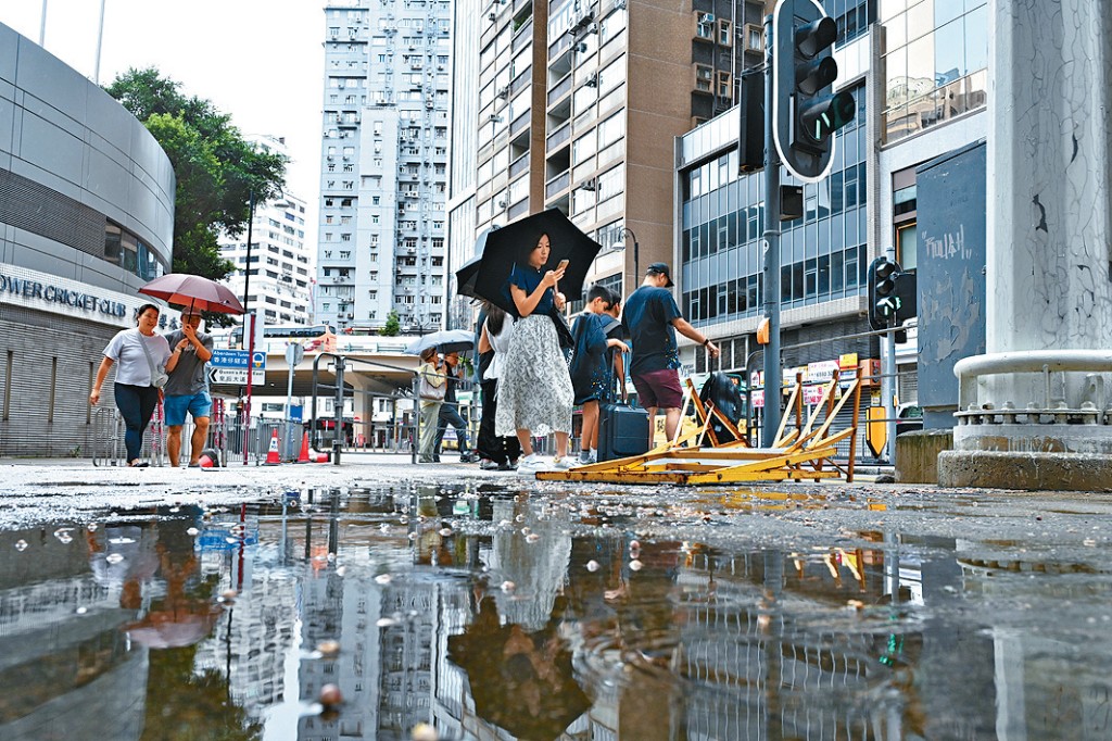 有學者指出，白紋伊蚊最適合成長的溫度約為30°C左右，與本港夏季的溫度接近。