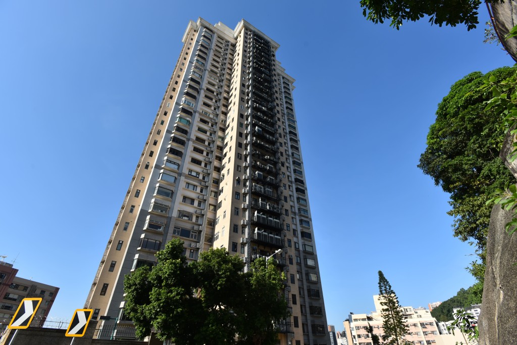 邱達根8800萬沽大寶閣高層戶