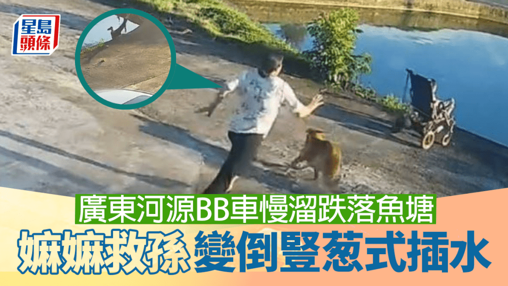 廣東BB車慢溜魚塘 嫲嫲飛撲救孫變倒豎葱式插水︱有片
