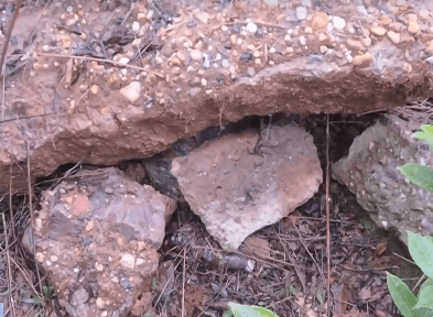 警方在石頭下找回所有贓物。央視新聞