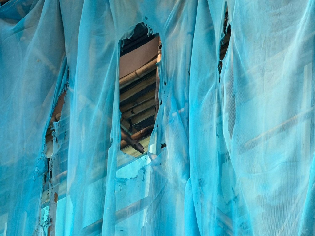 棚網被燒穿多個孔洞。曾志恆攝